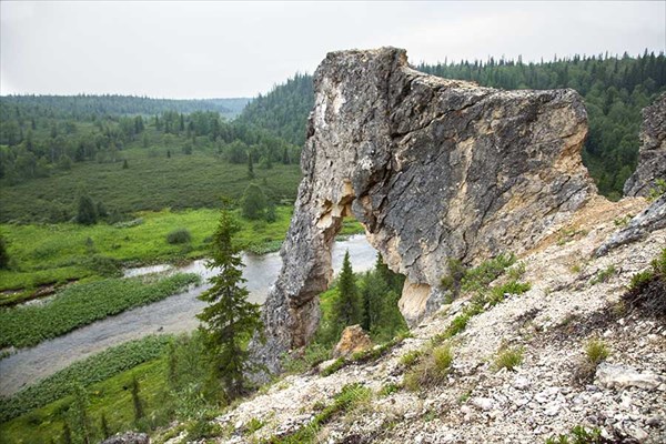 Шарью Окно арка Мамонт